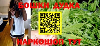 эйфоретик Кингисепп