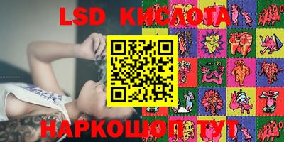 эйфоретик Кингисепп
