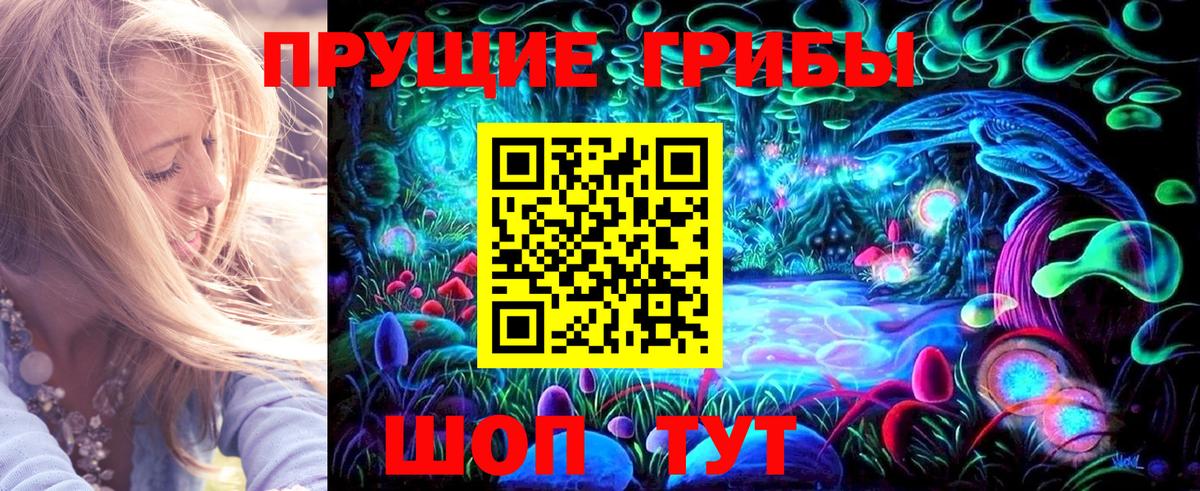 Псилоцибиновые грибы прущие грибы  Шахты 