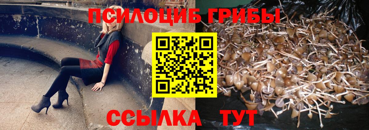 Псилоцибиновые грибы Magic Shrooms  Вход с VPN  Шахты  Псилоцибиновые грибы Cubensis 