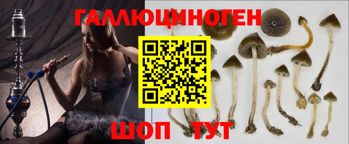 Псилоцибиновые грибы ЛСД Шахты